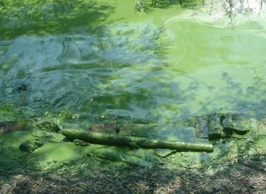 湖州市水环境污染的简单介绍